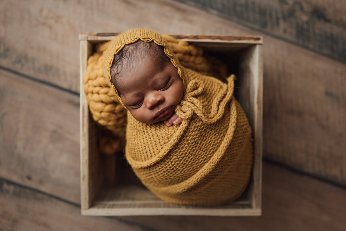 newborn baby girl poses for photo session in st. pete