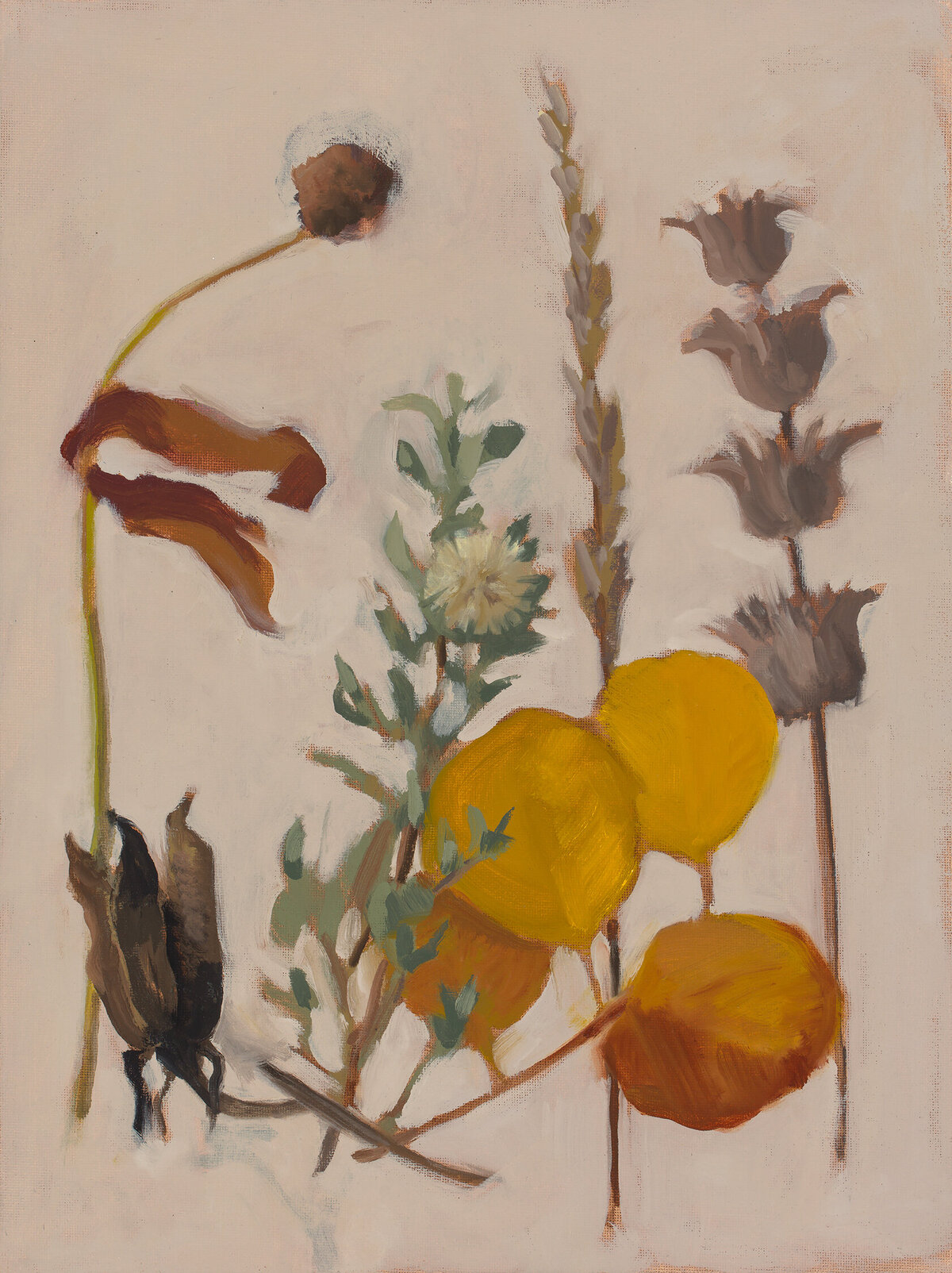 2023_Autumn yellow leaves_01_Clair Gaston