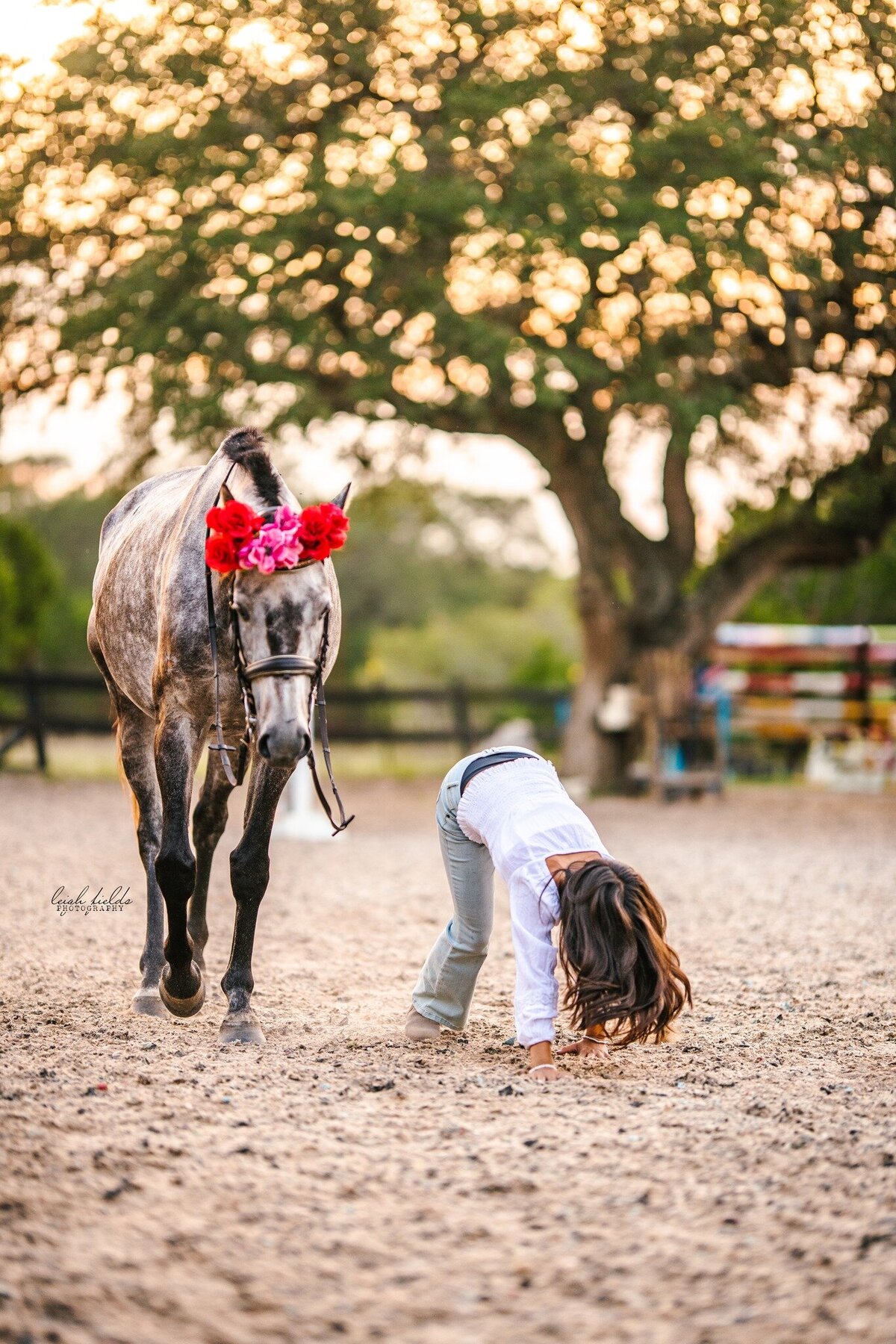 Equestrian brand photography, leigh fields photography