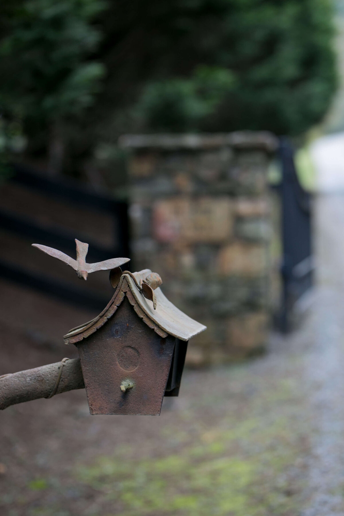 High-Acre-Farm-Julie-Napear-Photography-002