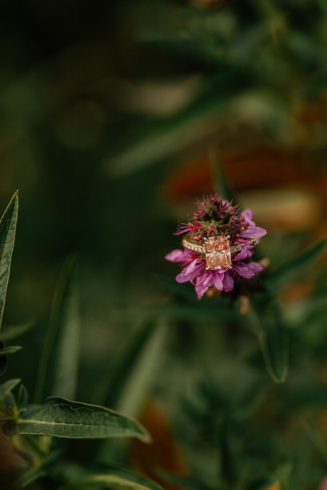 Amanda and Roman Engagement-599_websize