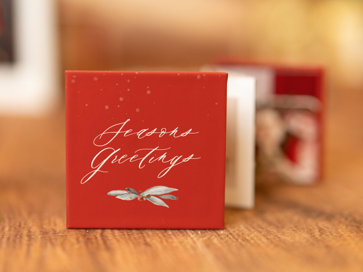 SteinArtStudio 2024-09-11 Christmas products-23