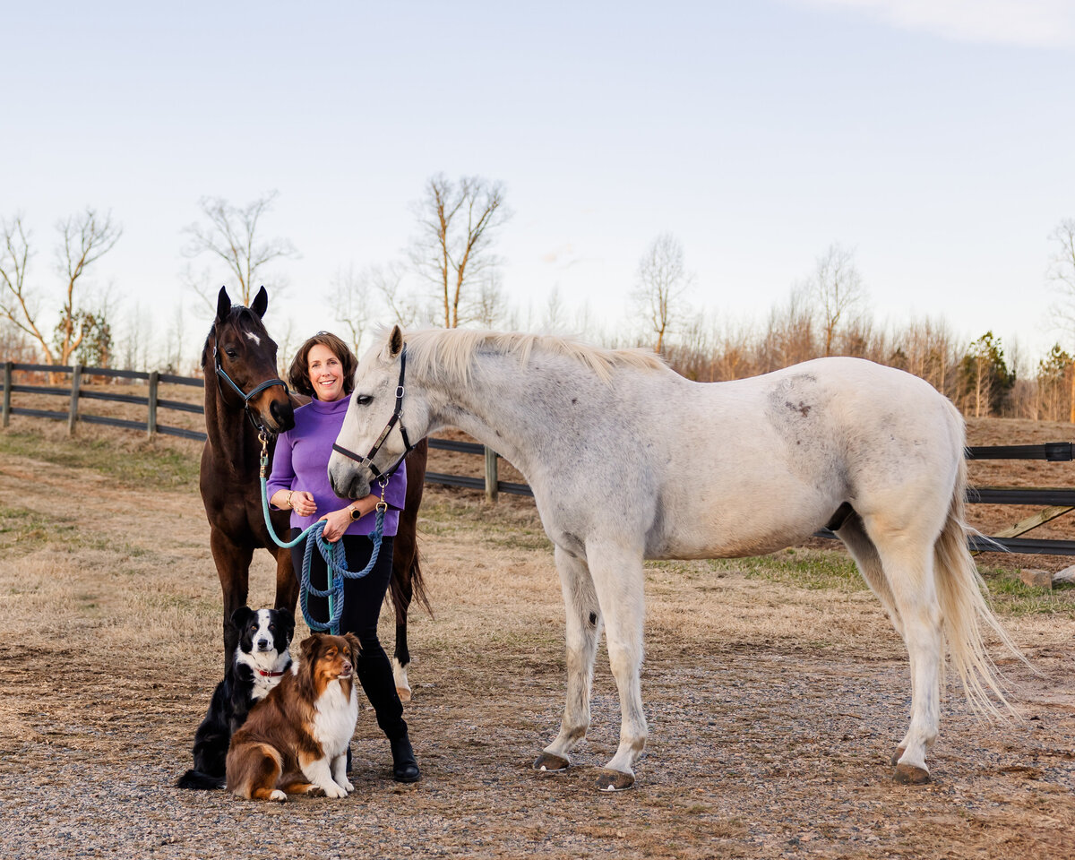 Equine Photographer in Richmond, Virginia
