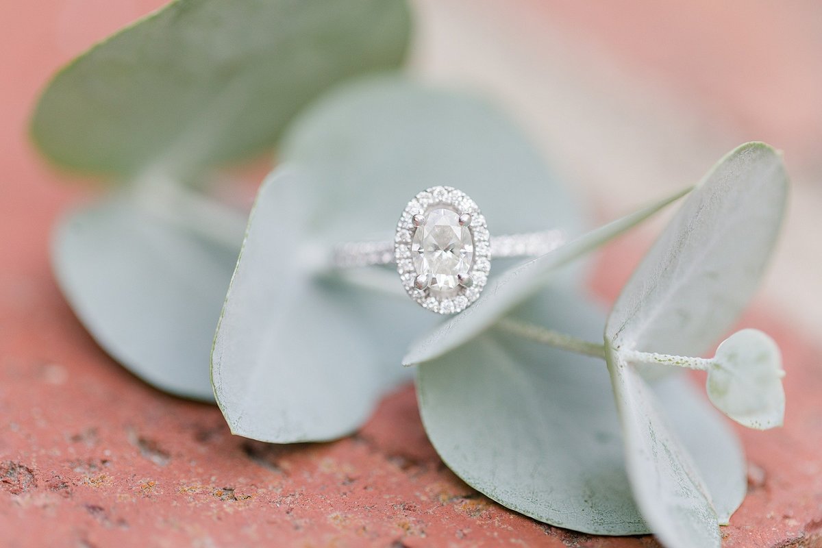 Jennifer B Photography_2553