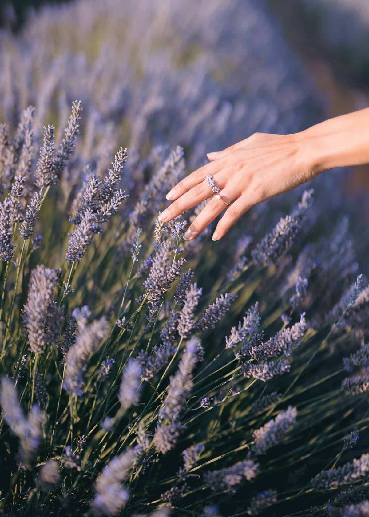 Houston wedding venues -43