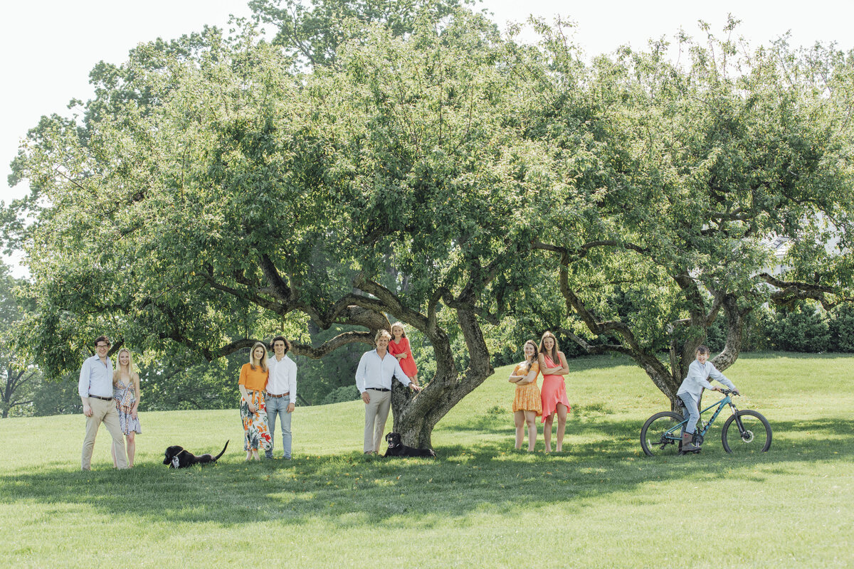 Family Photographer | Family smiling together outdoors surrounded by summer greenery | Hunterdon County, New Jersey