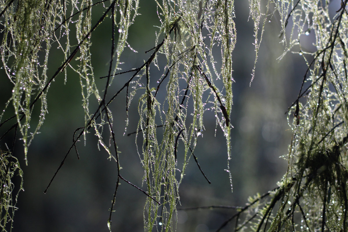 Wade_Muir_Photography_Places-39