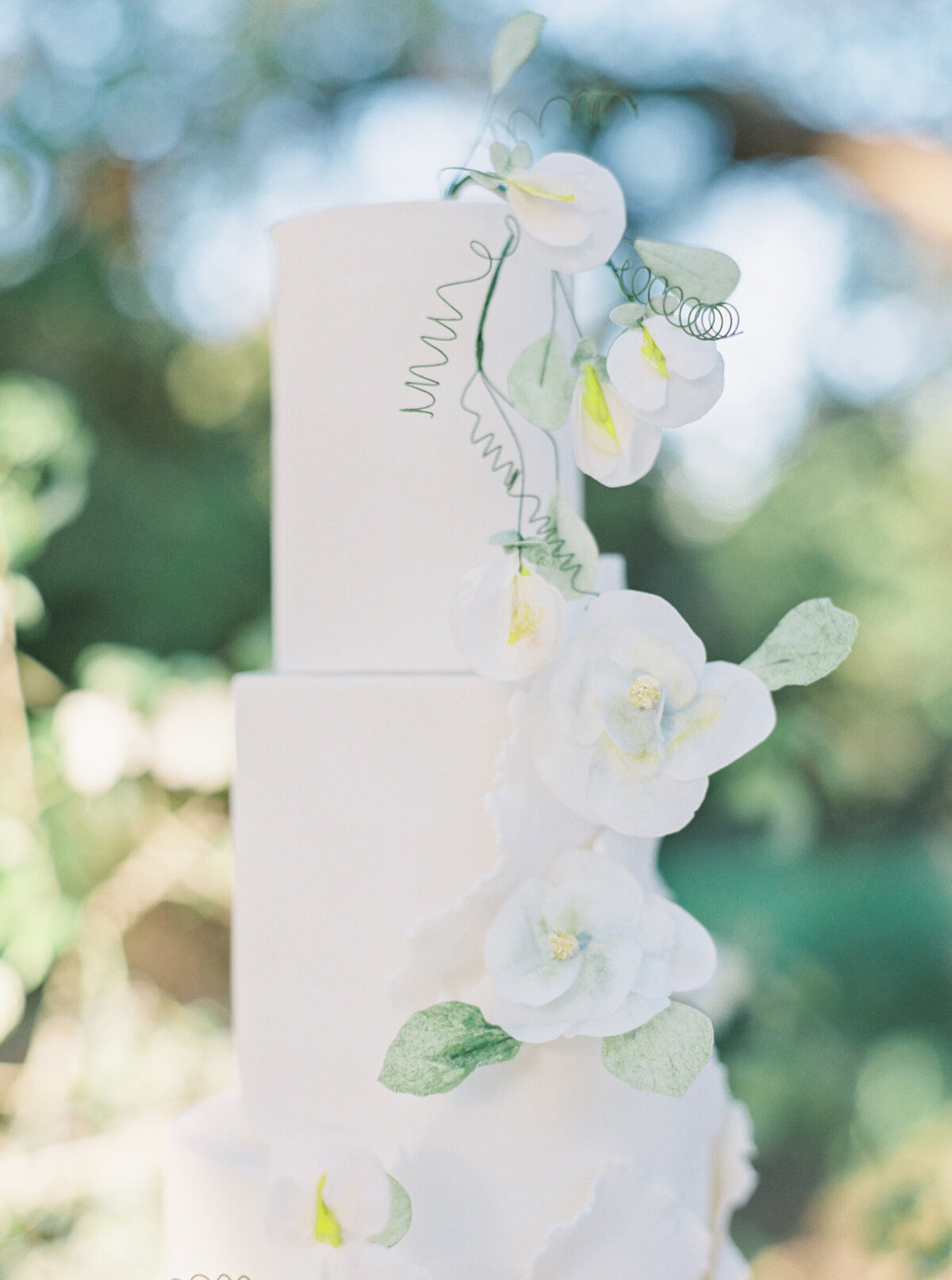 wormsloe_savannah_georgia_wedding_mary_ann_craddock_photography_0027