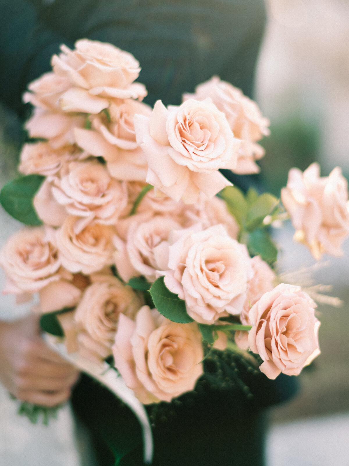 pink bouquet of roses for bride by cali and bloom