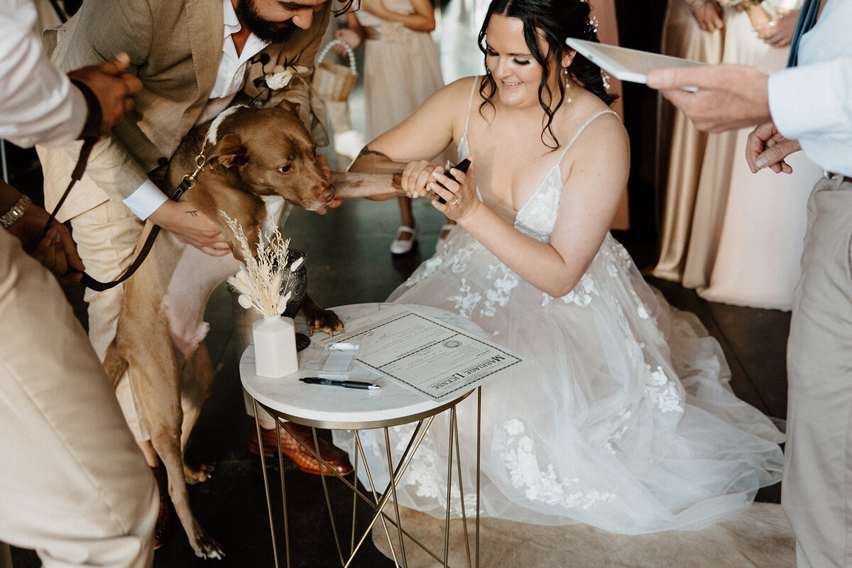 riley & joshua wedding sneaks _ cait swithers photo + films-21