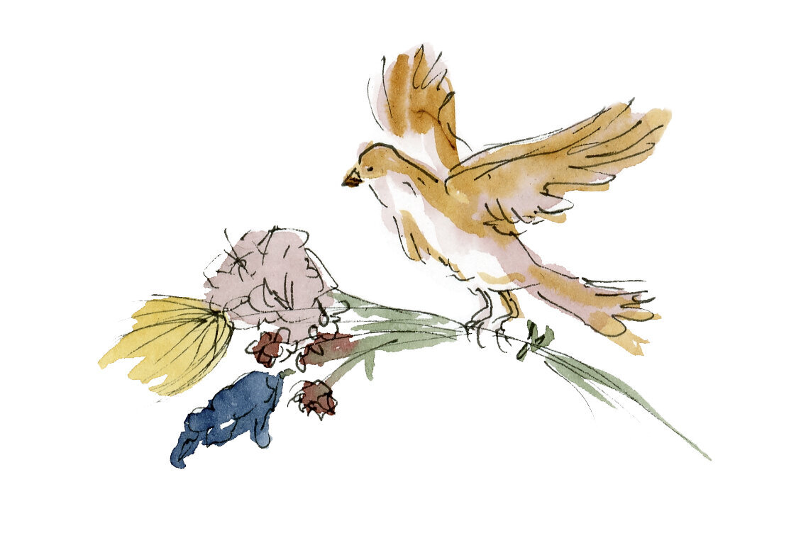Illustratie_vogel_geboorte