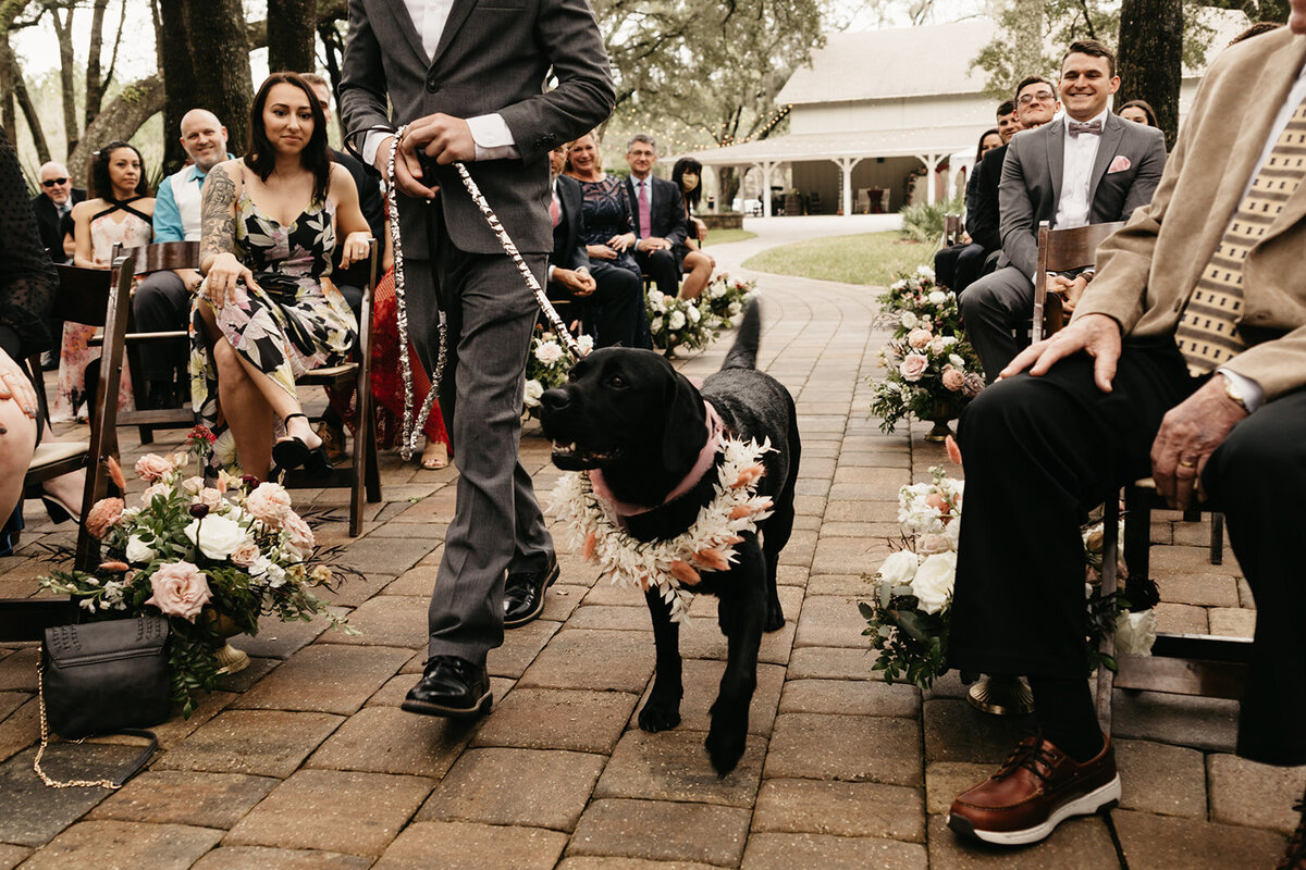 Meghan_Caeleb_Wedding_Wearethebowsers-428