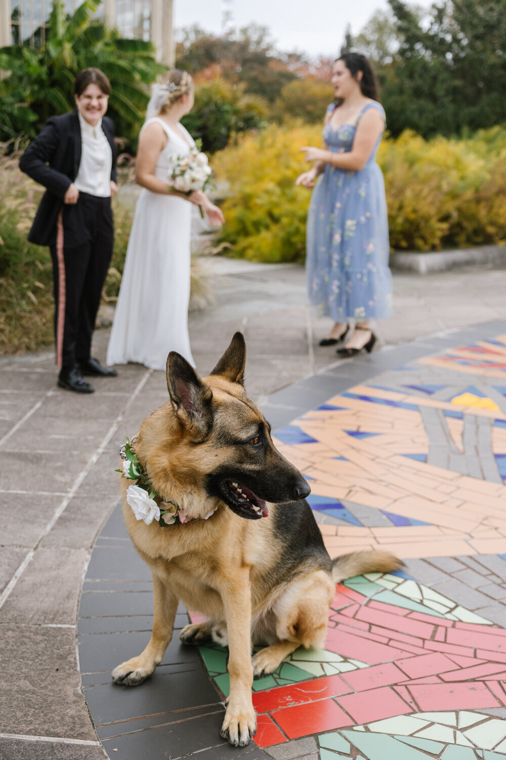 urban-row-photo-rawlings-conservatory-wedding-photographer-34