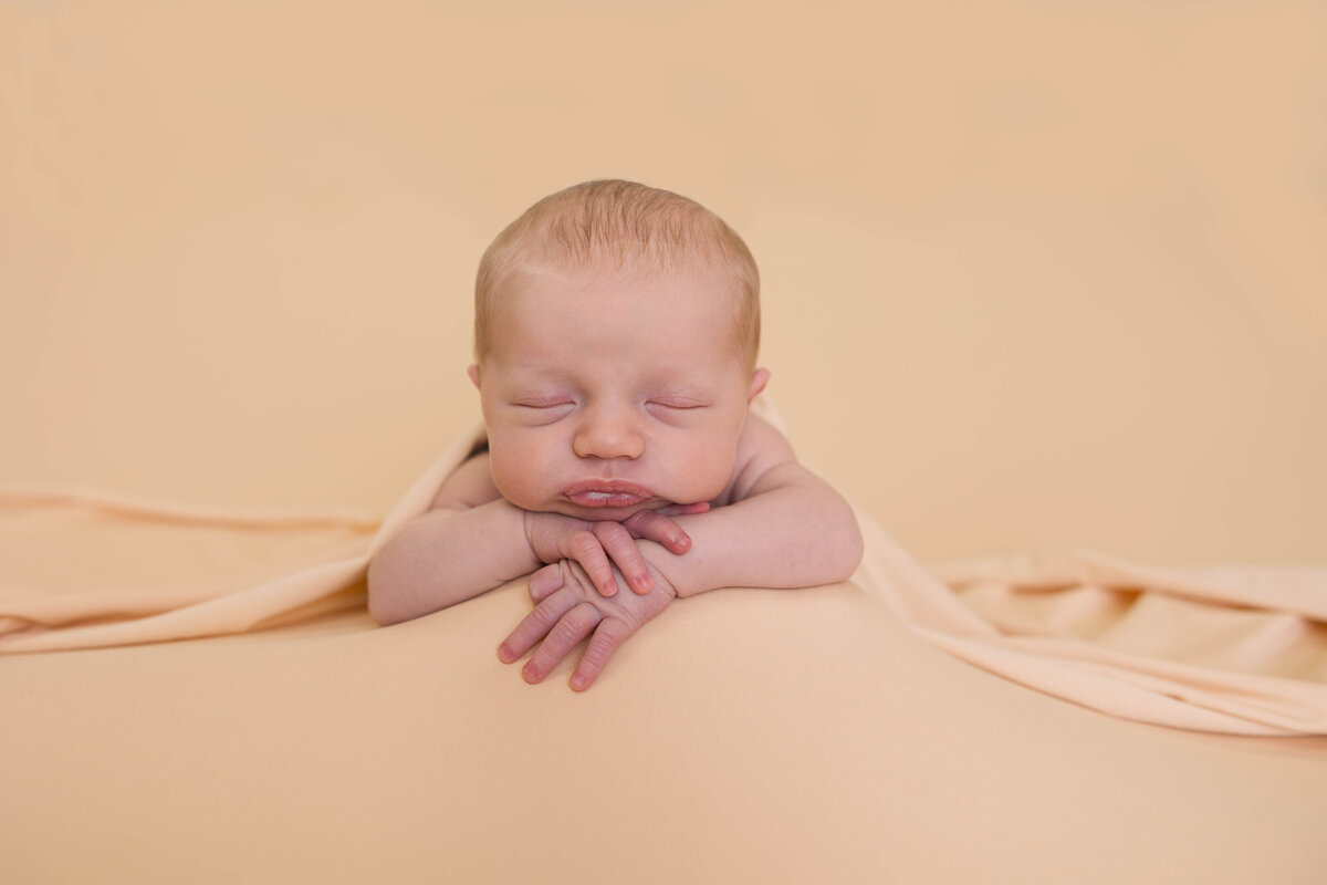 Frozen Moments Pennsylvania Posed Newborn Photographer Neutral