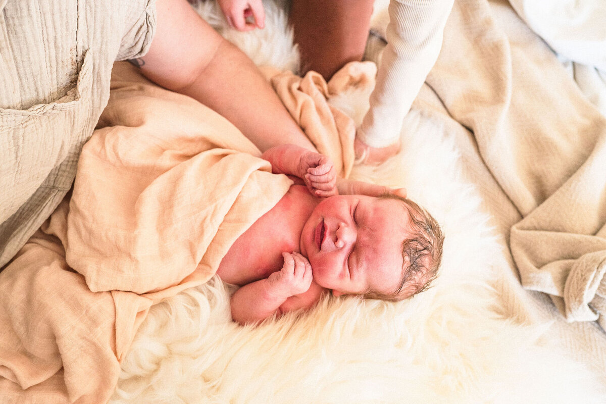 rkady_Brown_Best_Newborn_Photographer_Metro_Detroit11