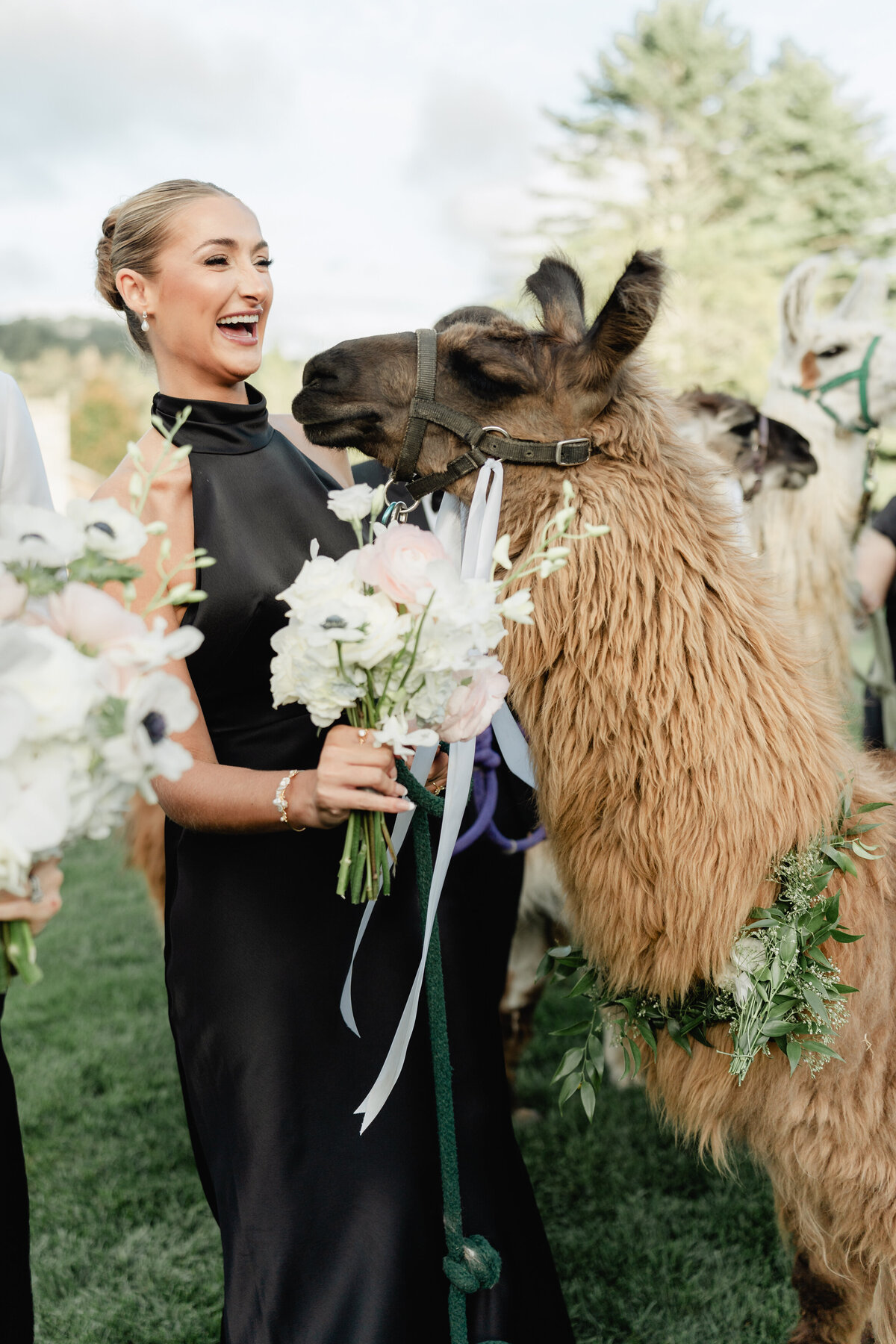 Bride and Groom at Chattooga Club Cashiers NC by Wedding Photographer Nick Francis-69