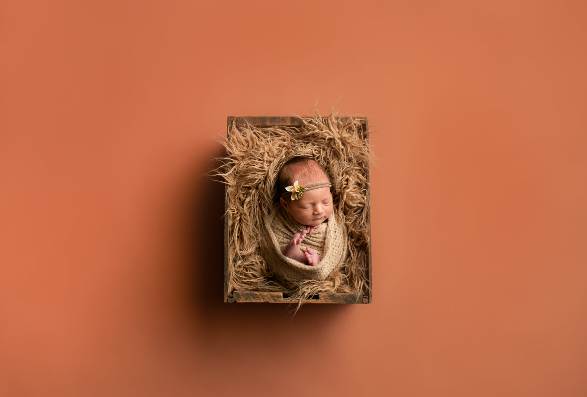 minnesota-newborn-photographer-1-2