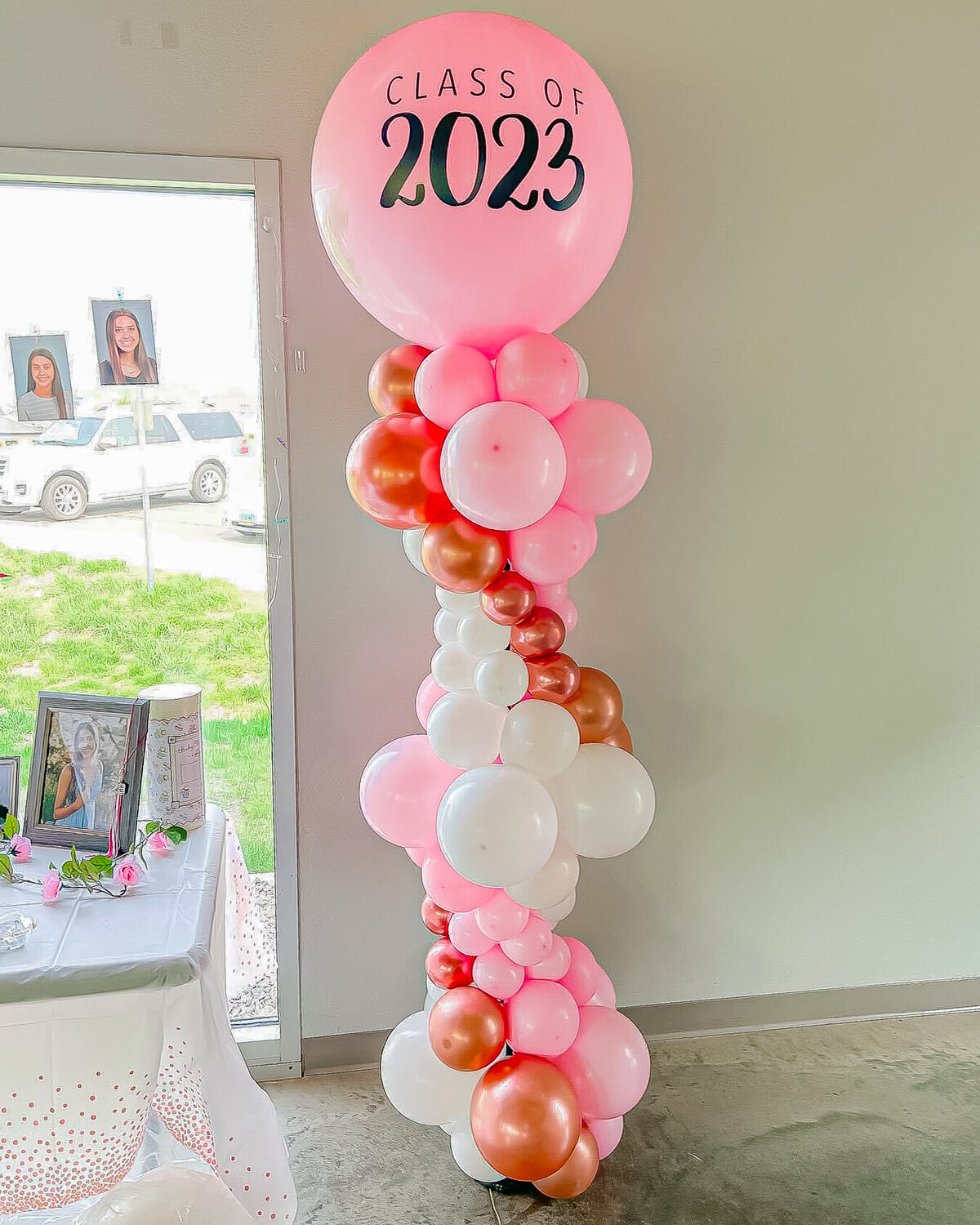 balloons-bismarck-nd-296