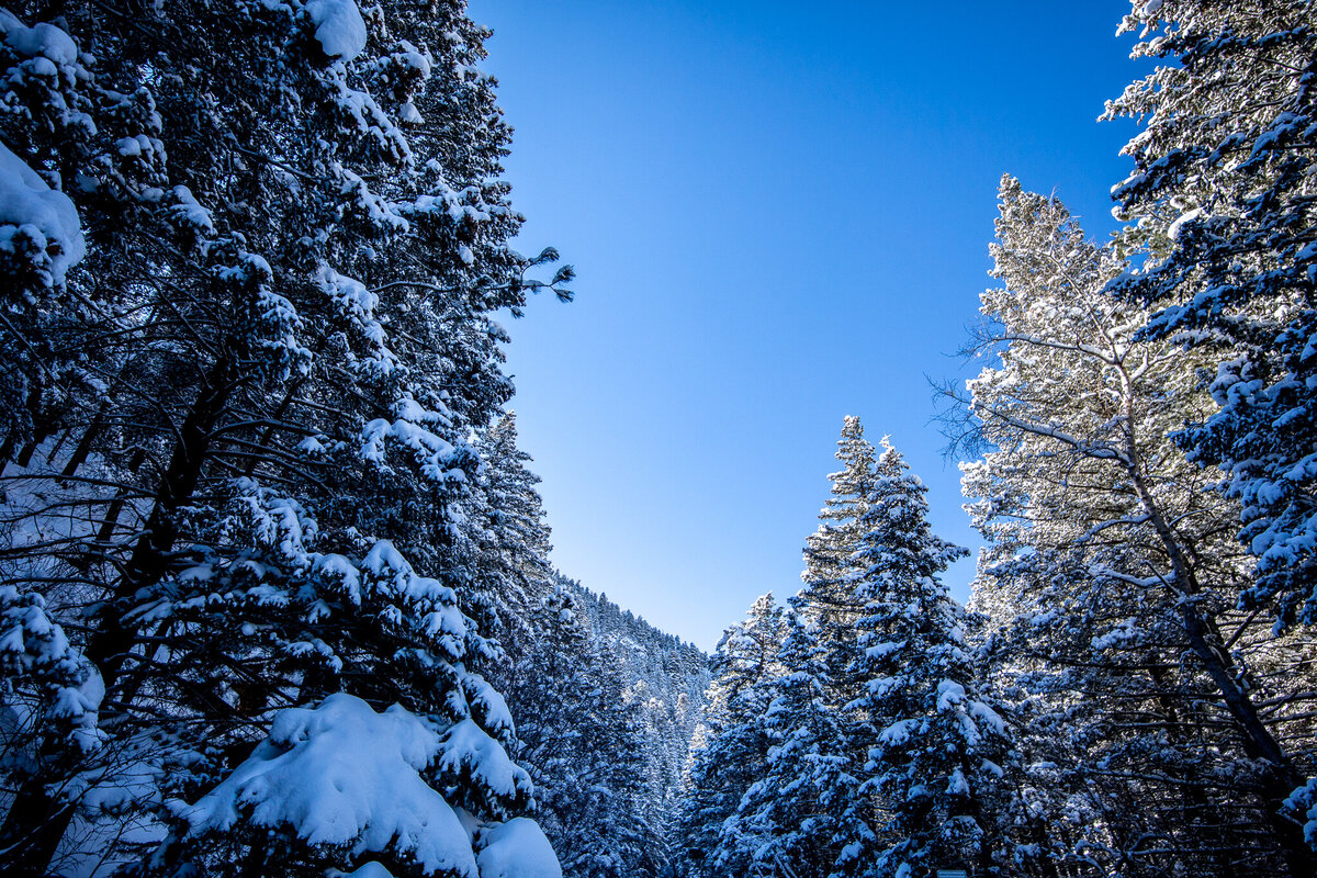 Winter-62