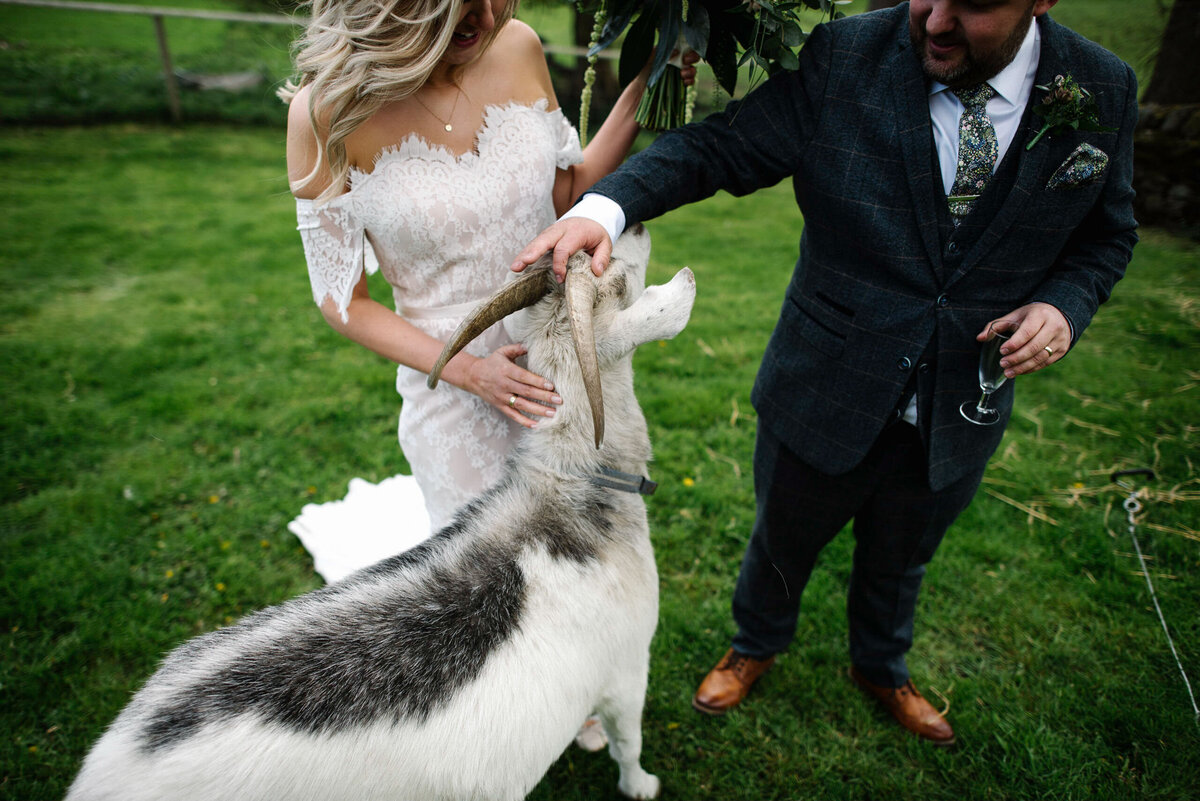 FoxMoonPhotography-45