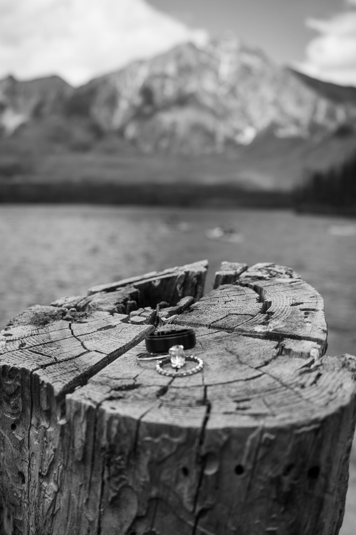 KMPhotography_T&CJasperElopement175