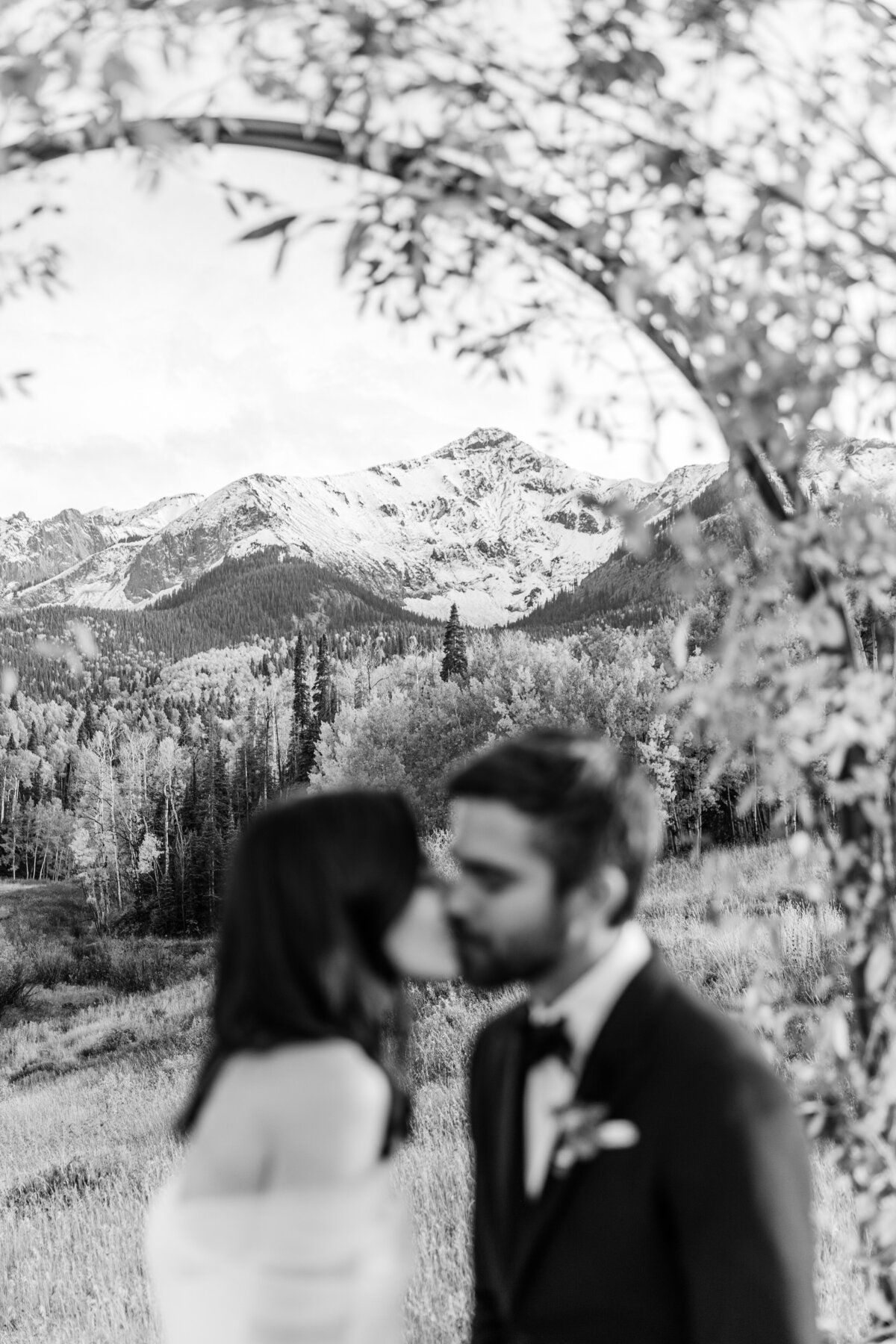 TellurideWeddingPhotographer-AbieLivesayPhotography-SoireeTellurideWeddingPlanner-LaurieJon-616