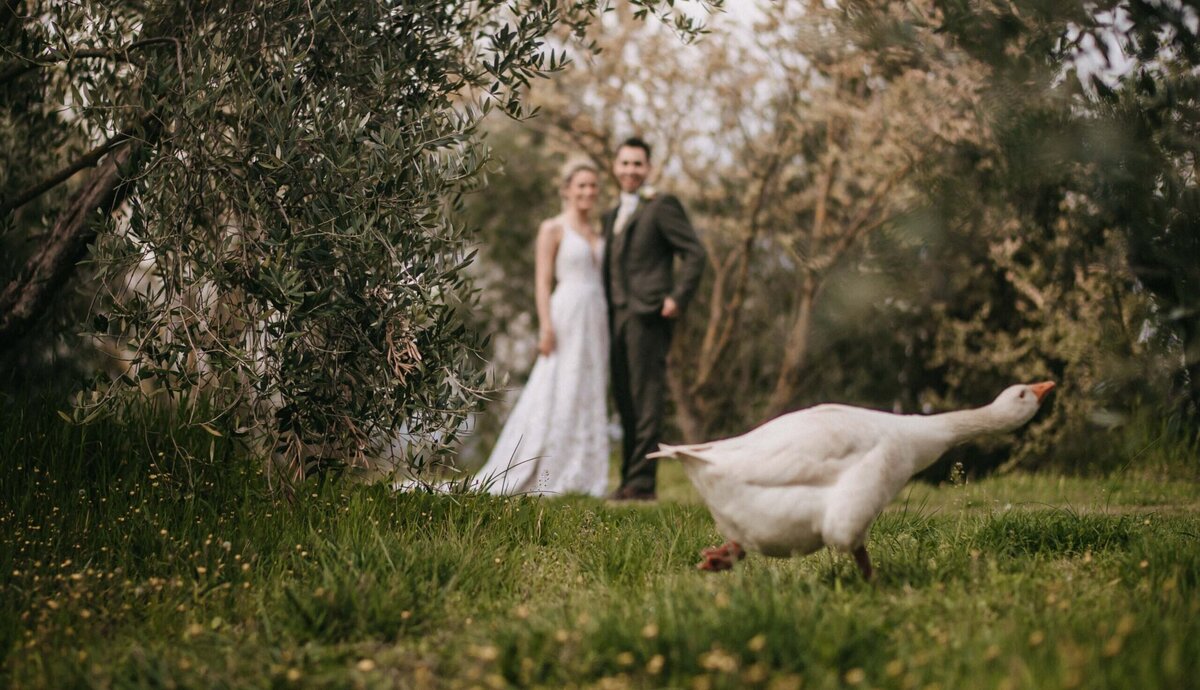 bride and groom portrait intimate wedding the lazy olive