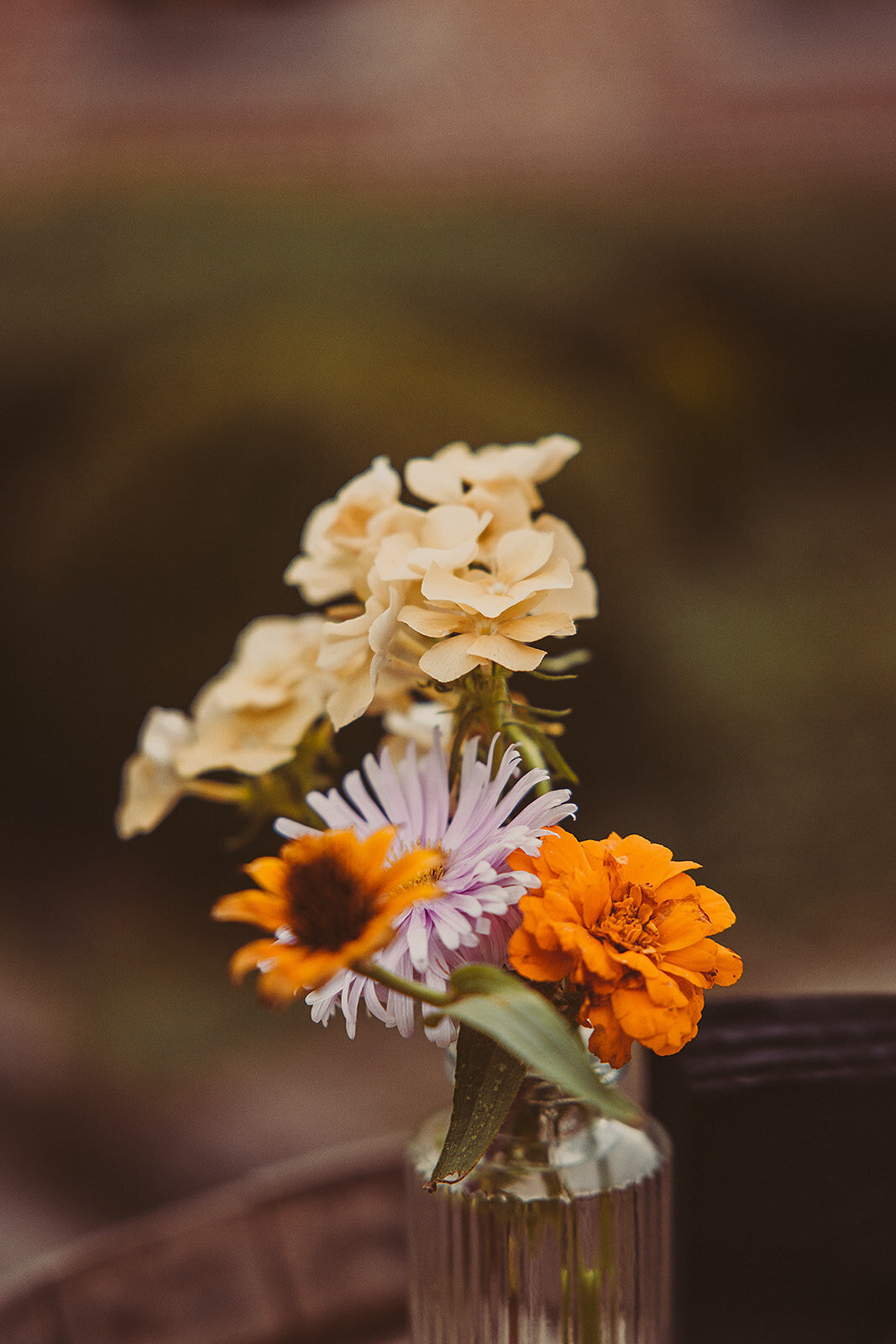 Laure&Nils_huwelijk_bewerkt_receptie_-62