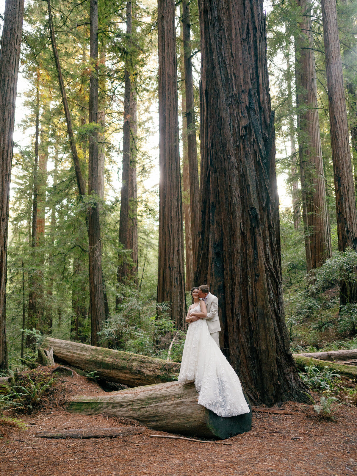 RedwoodsCalifornia-3