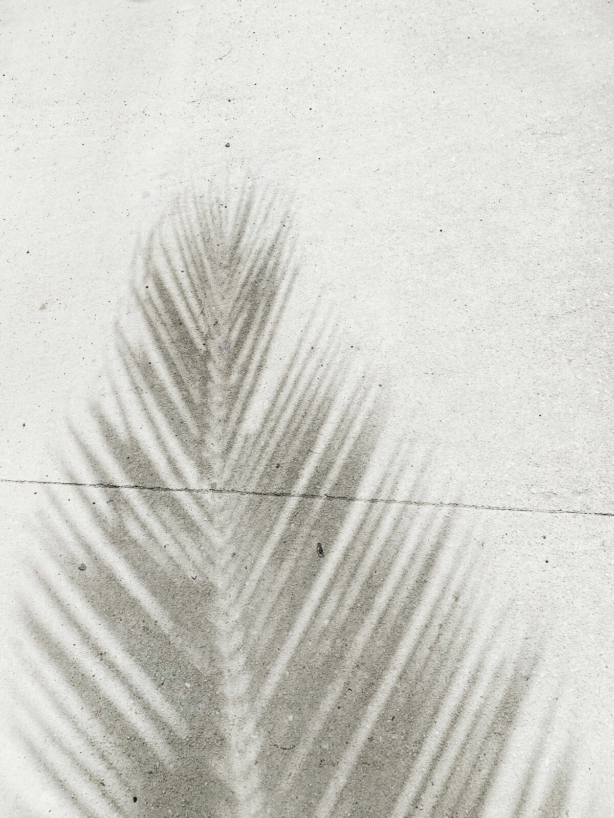 anna-sullivan-zS-d3BP2pXY-unsplash