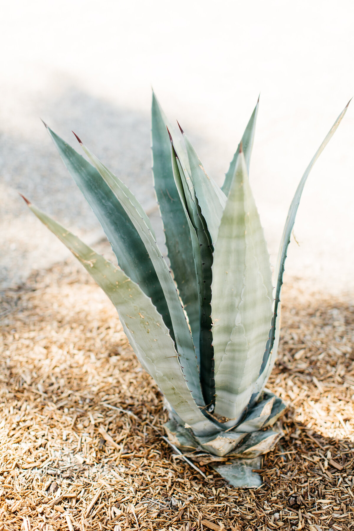 catie-coyle-photography-144
