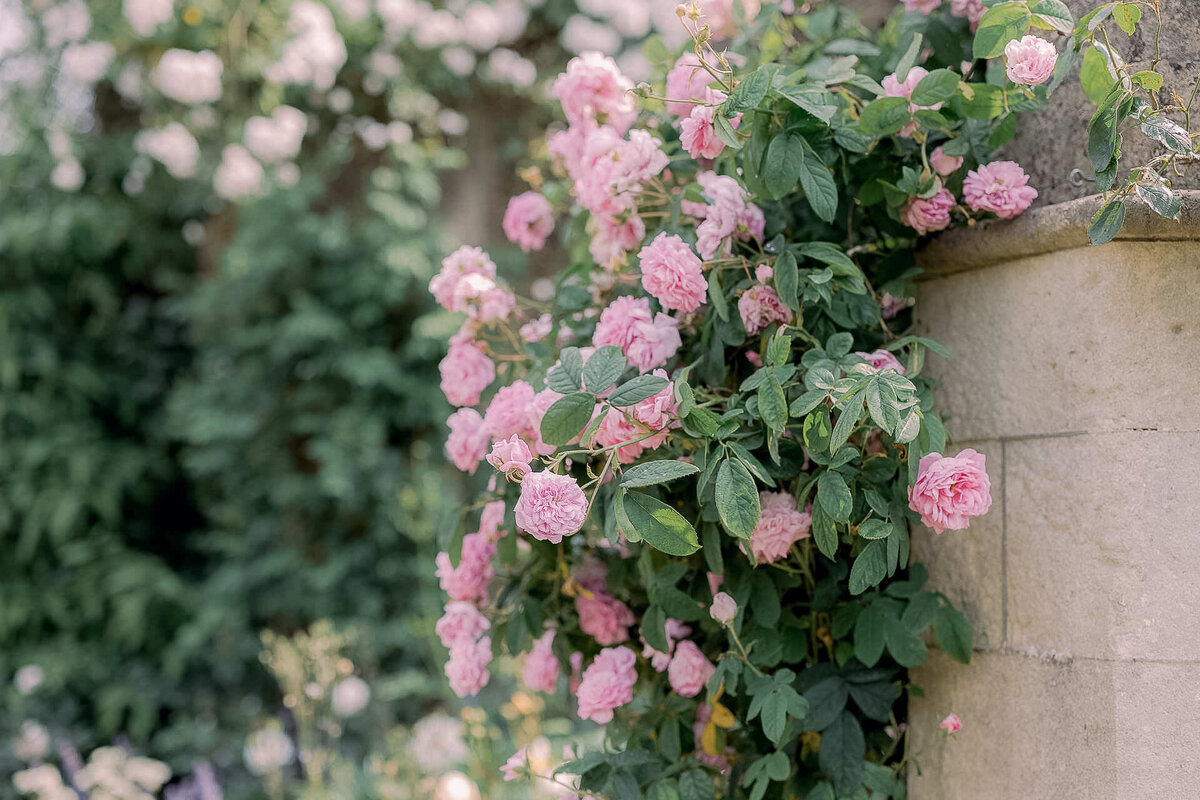 Euridge-Manor-wedding-Jessy-Papasavva-Photography-8