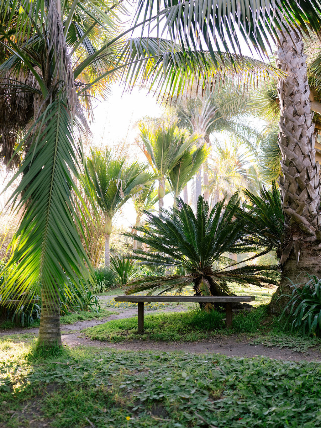 rehearsal-dinner-santa-barbara-zoo-detailed-touch-events-wedding-planner37_1