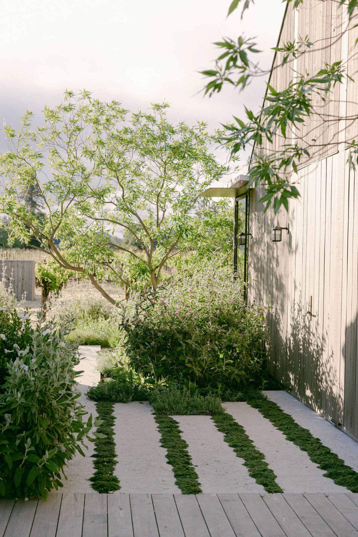 larissa-cleveland-photographer-napa-california-wine-country-wedding-private-estate-002