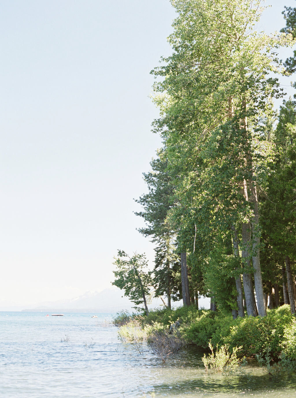 lake-tahoe-west-shore-cafe-wedding-1