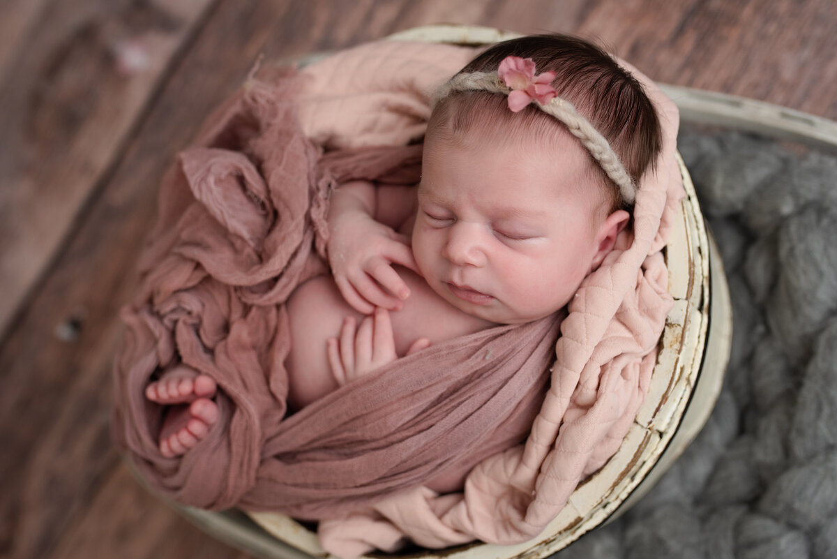 newborn portraits Westminster, MD