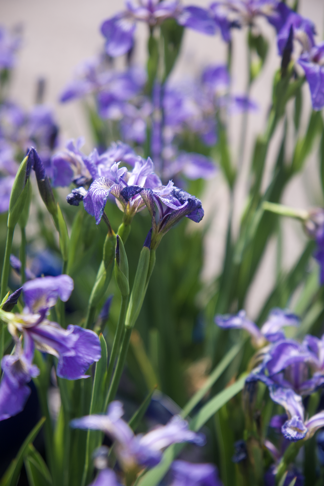 Screenshot 2025-07-21 at 12.28.12 AM