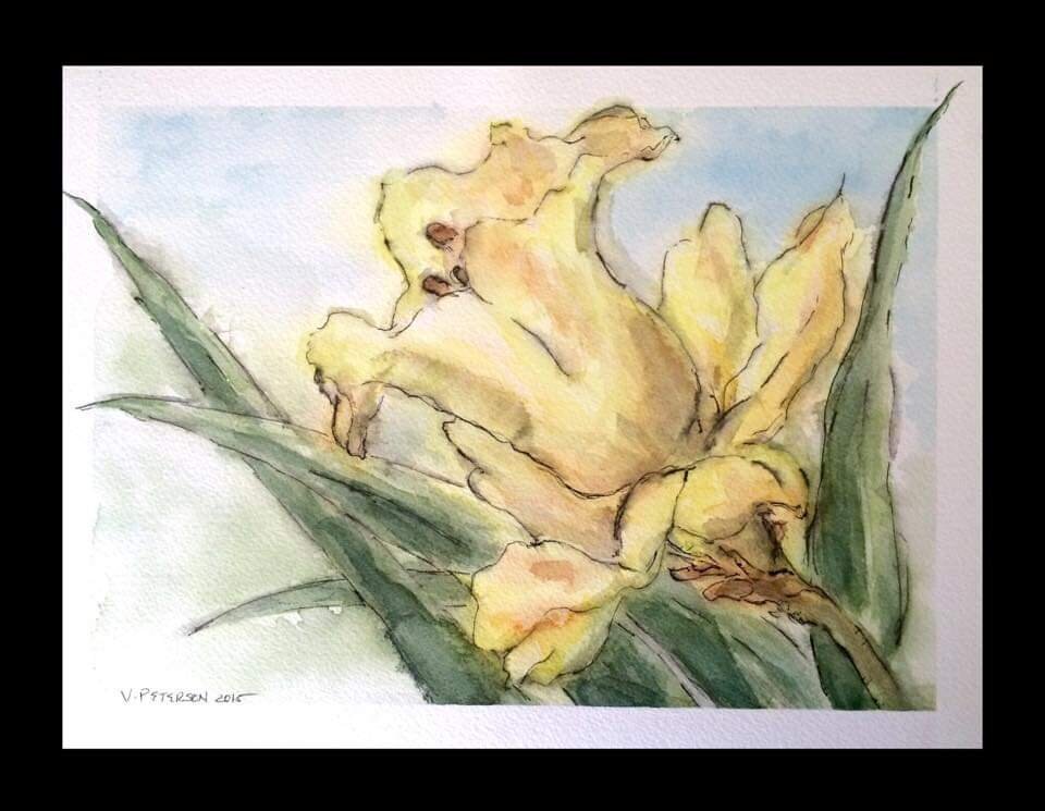 Daffodil