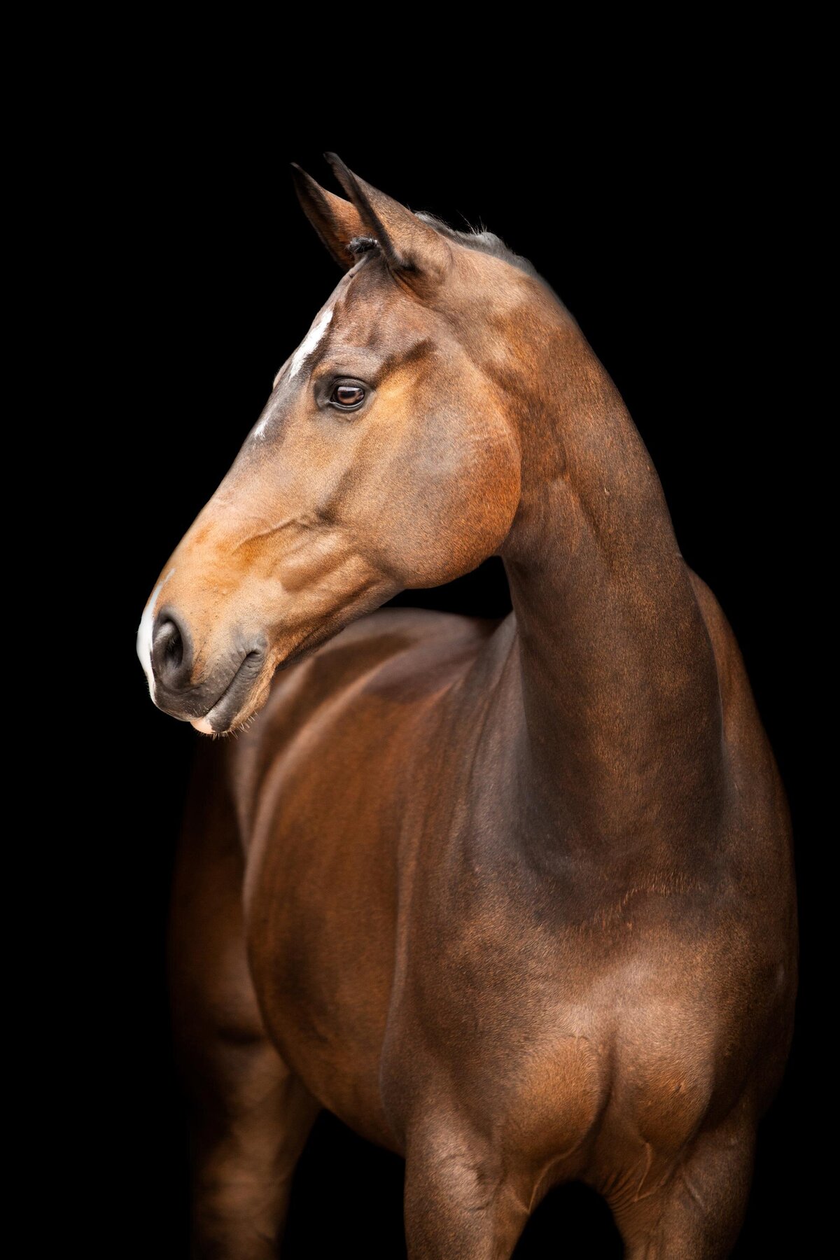 Portfolio-blackfotografie-galerij3-ByMarita