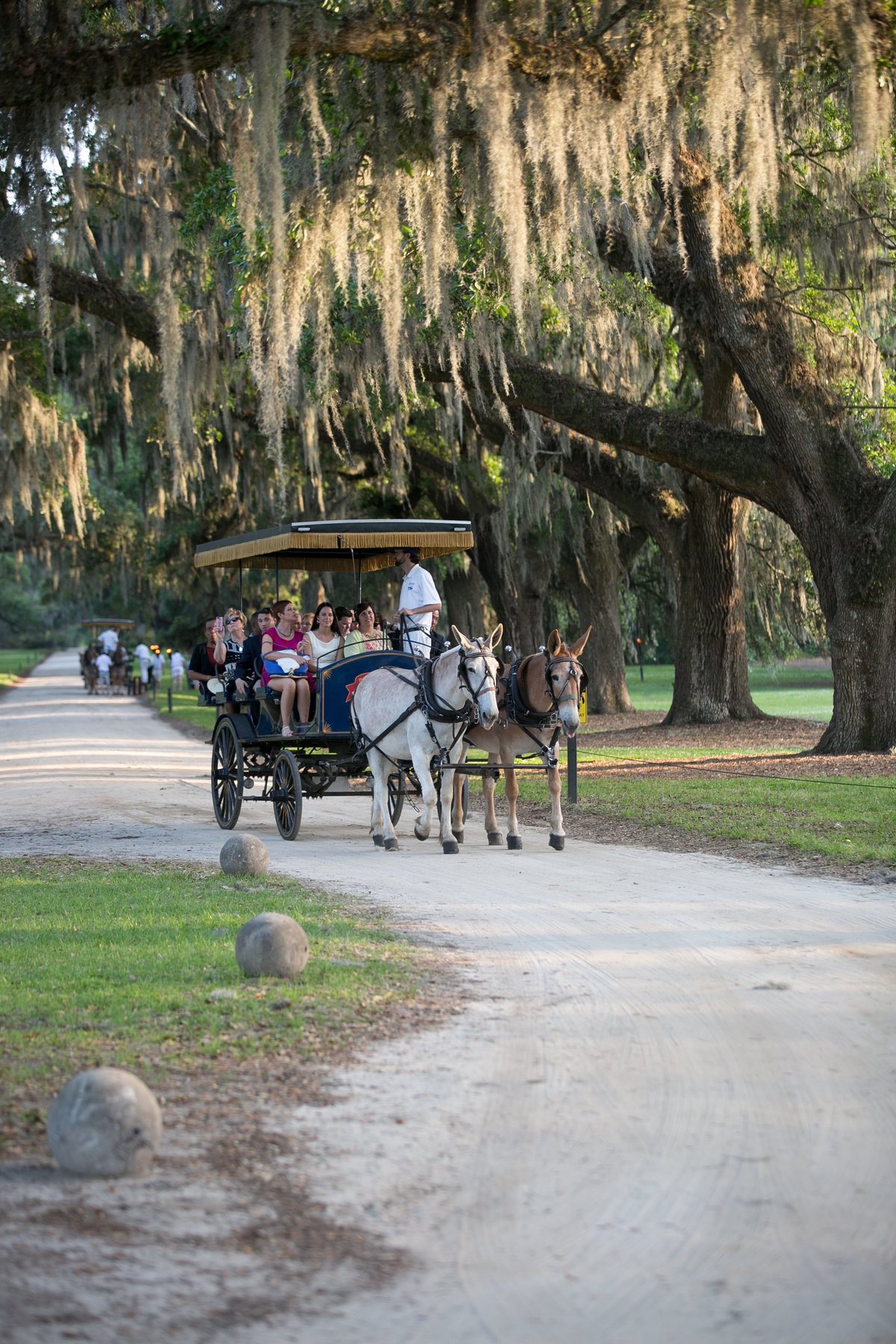 0305-Boone-Hall-LEO-Carmen-Ash