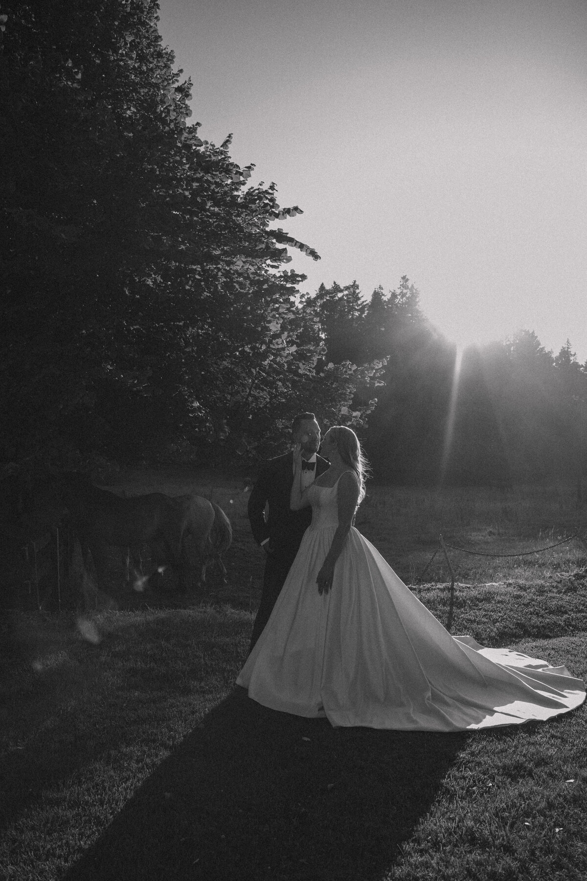 joe-meg-buffalo-wedding-day27