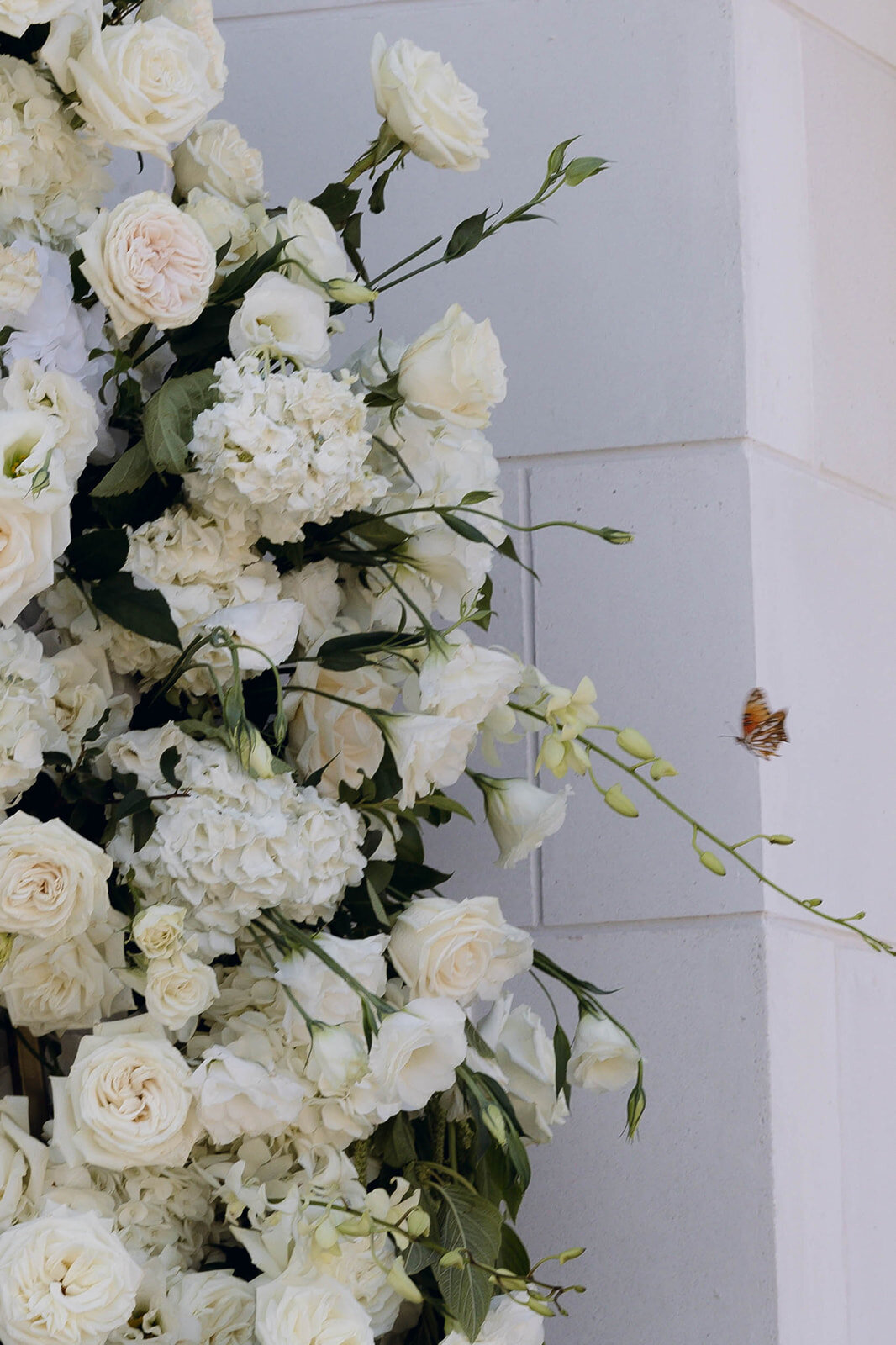 Close-up of a floral arrangement with white roses and a butterfly hovering near the petals.