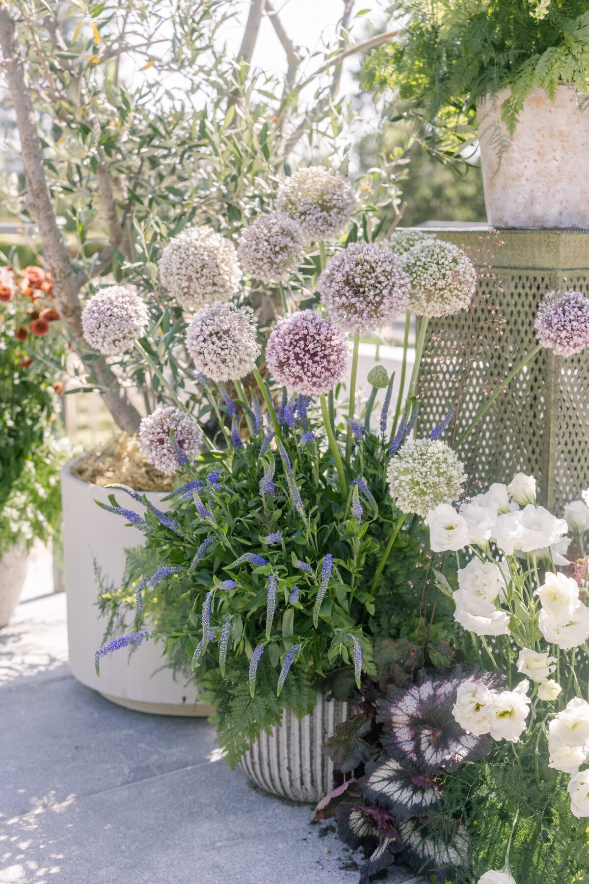 Matthew_Robbins_Ojai_Wedding_@marlieshartmann-5
