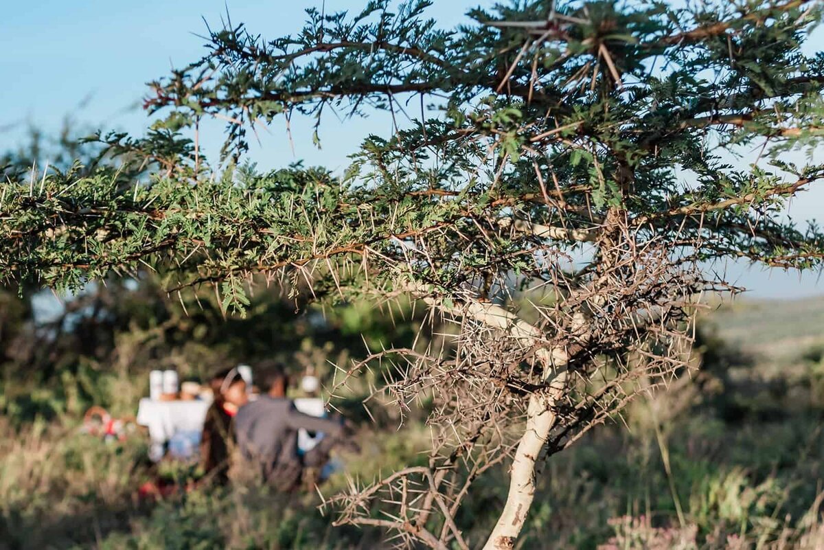 What-to-do-on-your-safari-wedding-trip-Sunrise-breakfast-in-the-bush-Soul-and-Sky-Weddings-2