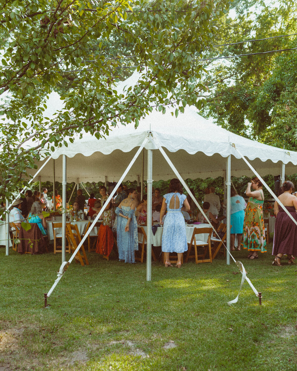 Intimate-Backyard-Wedding-Columbia-MO.jpg00284