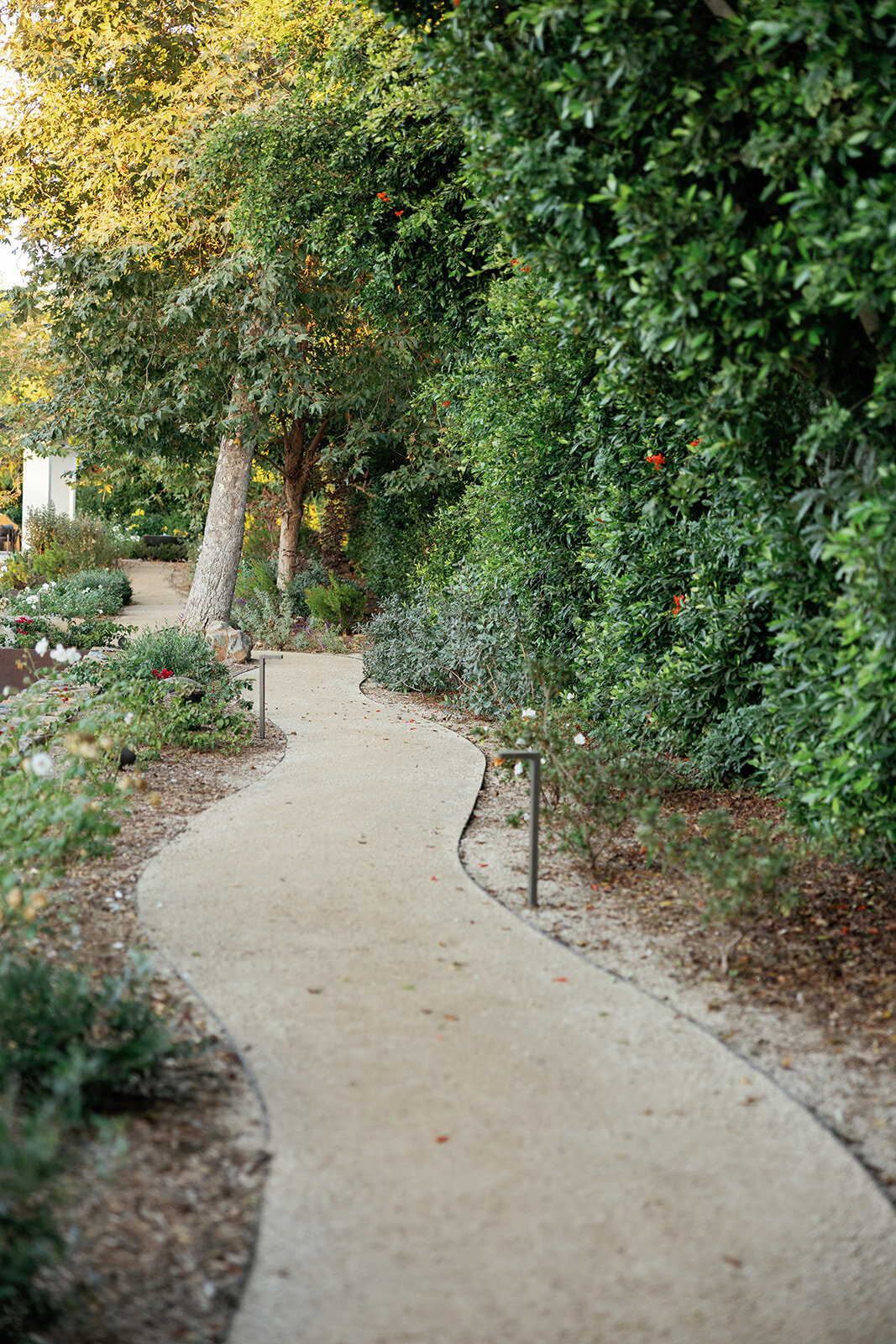 Rancho_Santa_Fe_wedding_venue_Estate_wedding_luxury_wedding_planner_wedding_tour_ San_Diego_weddings1784