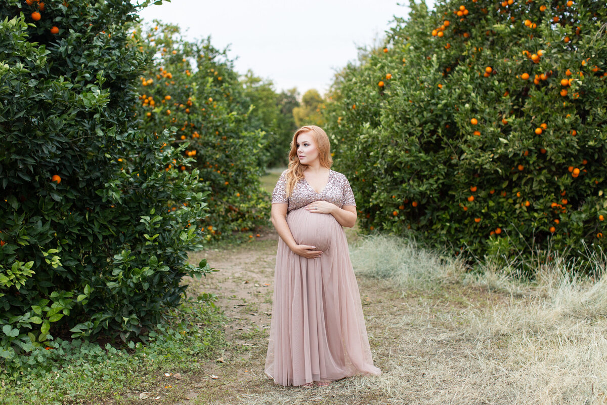 Drake Maternity-ALL images-0148