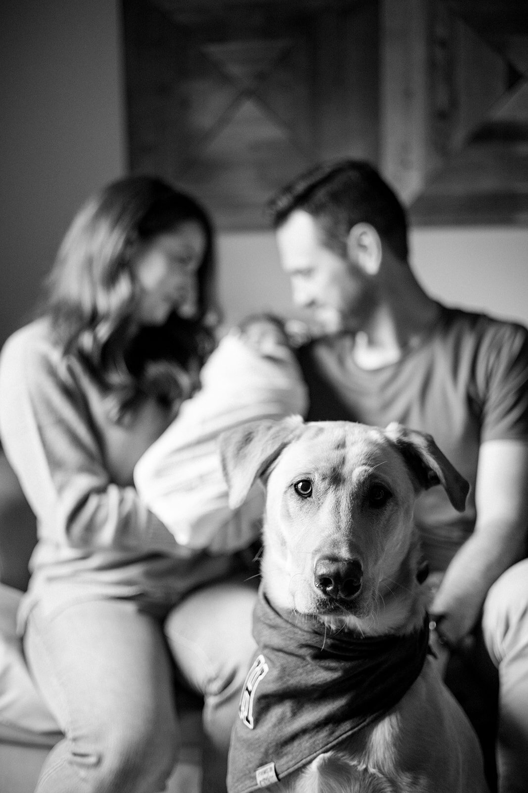 tampa-family-photographer-orlando-6_websize
