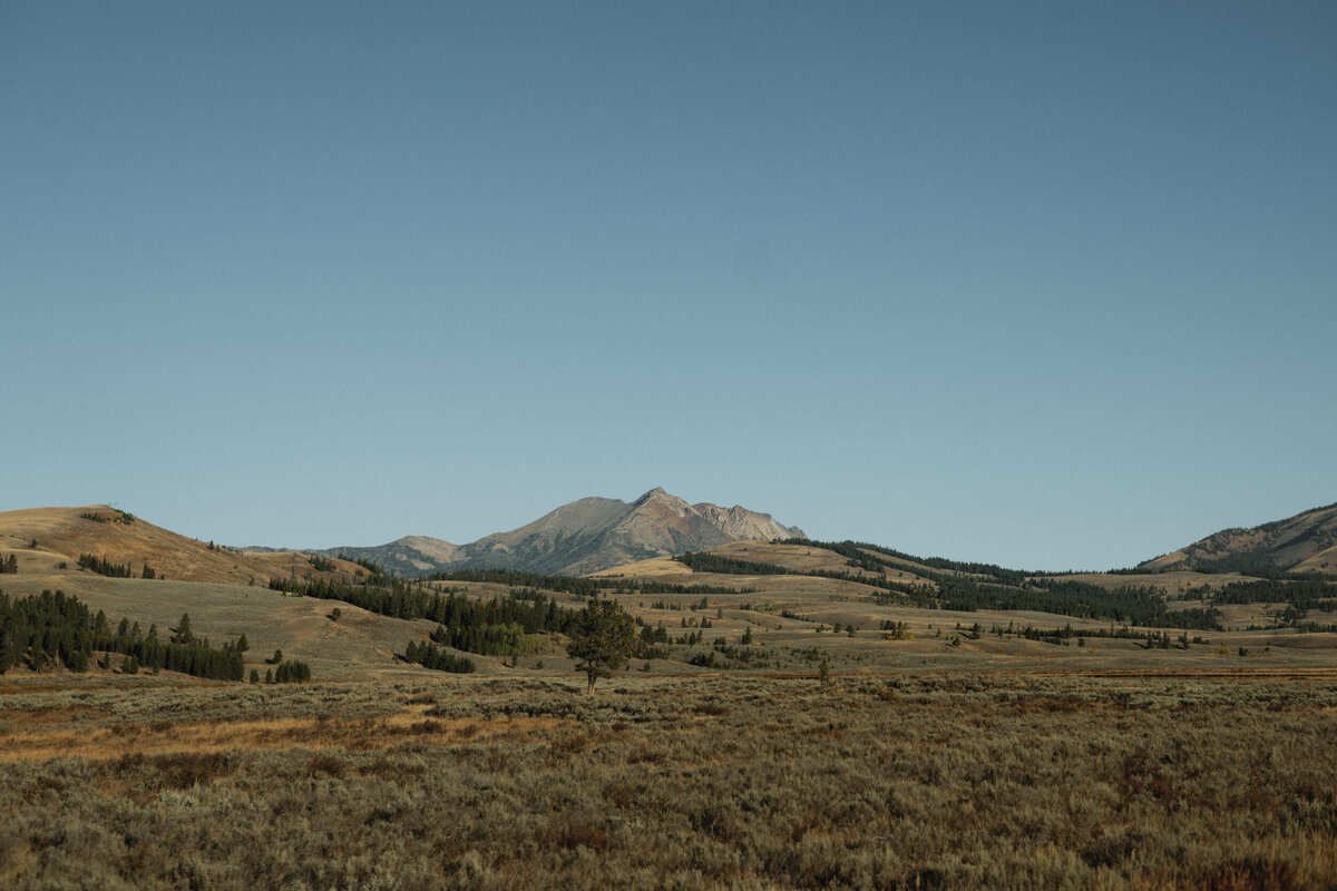 National-Parks-Coffee-Jess-Rankin-Photographer-14