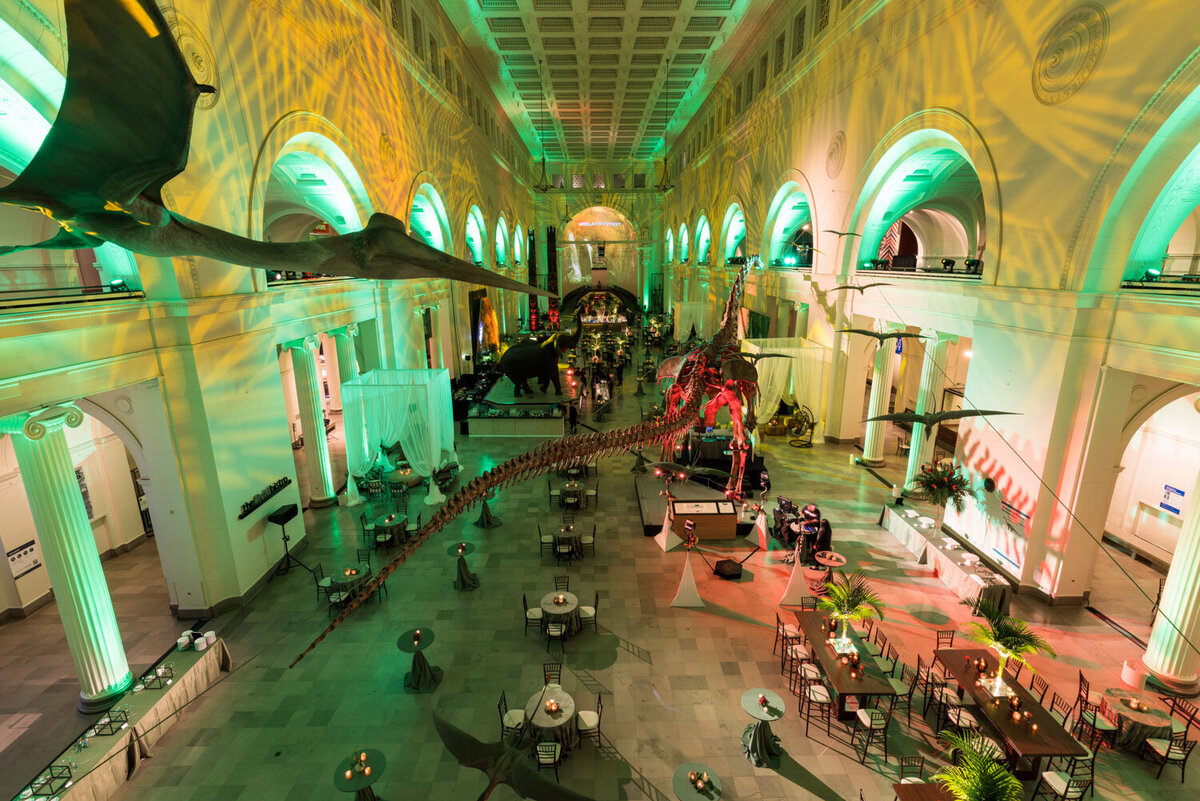 Large event space with dinosaur skeleton and banquet tables
